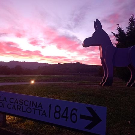 La Cascina Di Carlotta 1846 Agriturismo Alba  Exteriér fotografie