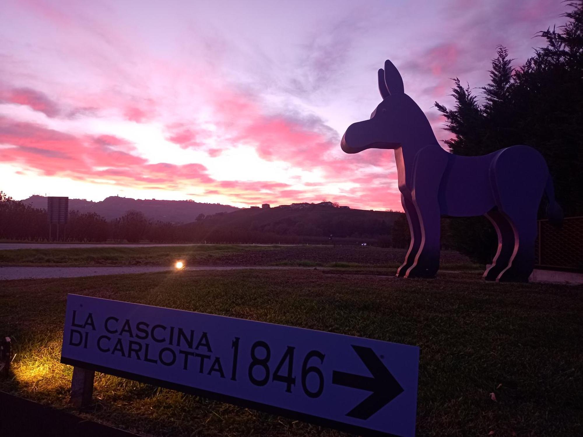 La Cascina Di Carlotta 1846 Agriturismo Alba  Exteriér fotografie